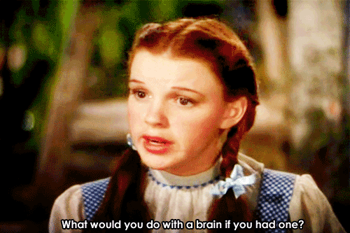 tumblr_nn51roNJuP1tlazn5o1_500.gif