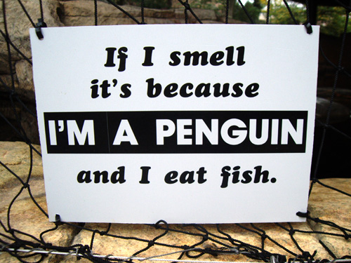 smelly-penguin.jpg