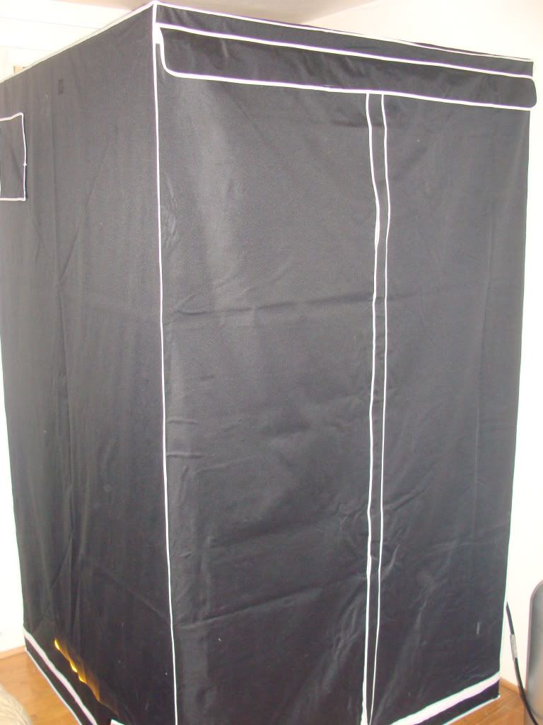 DSC03764.jpg