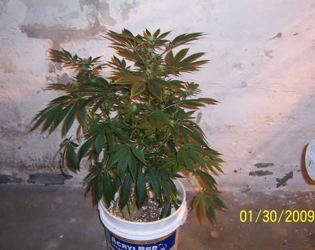 100_1212.jpg