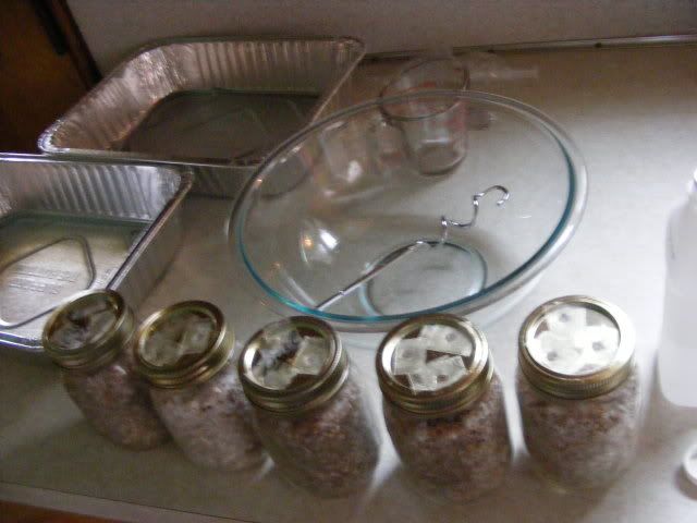 Picture019.jpg