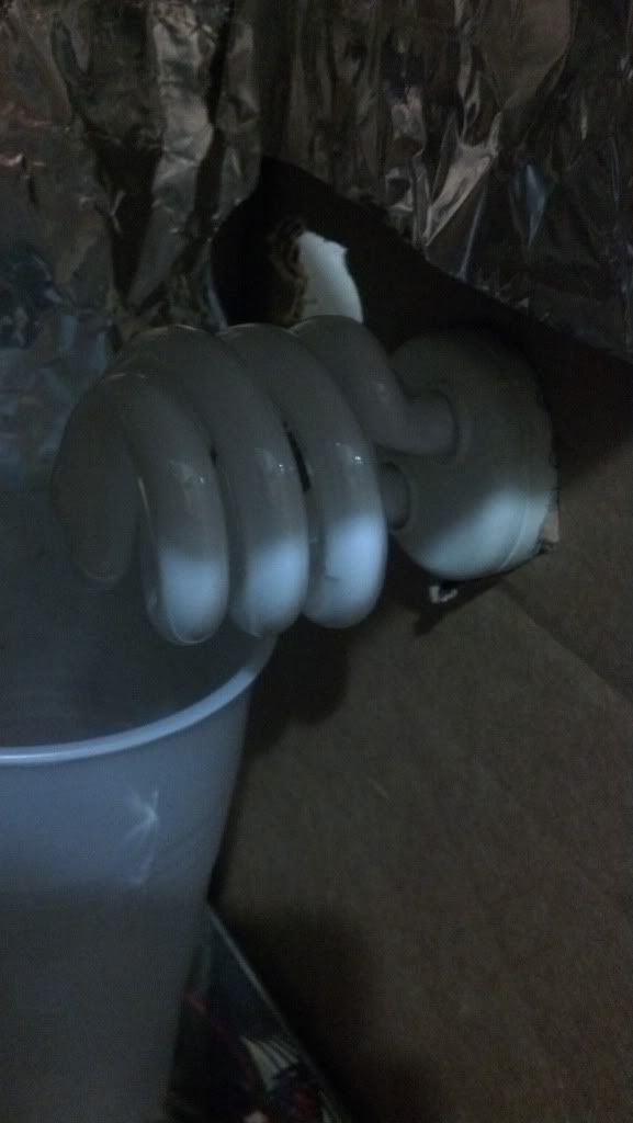 2013-01-24_13-11-25_422.jpg