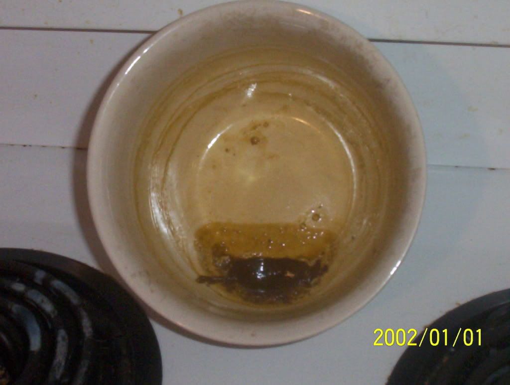 HoneyOil009.jpg