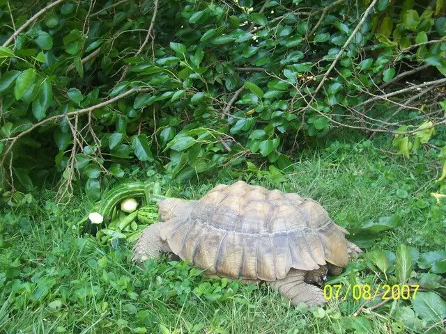 100_5054.jpg