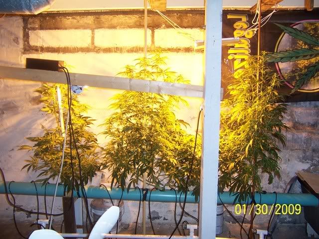 100_1221.jpg