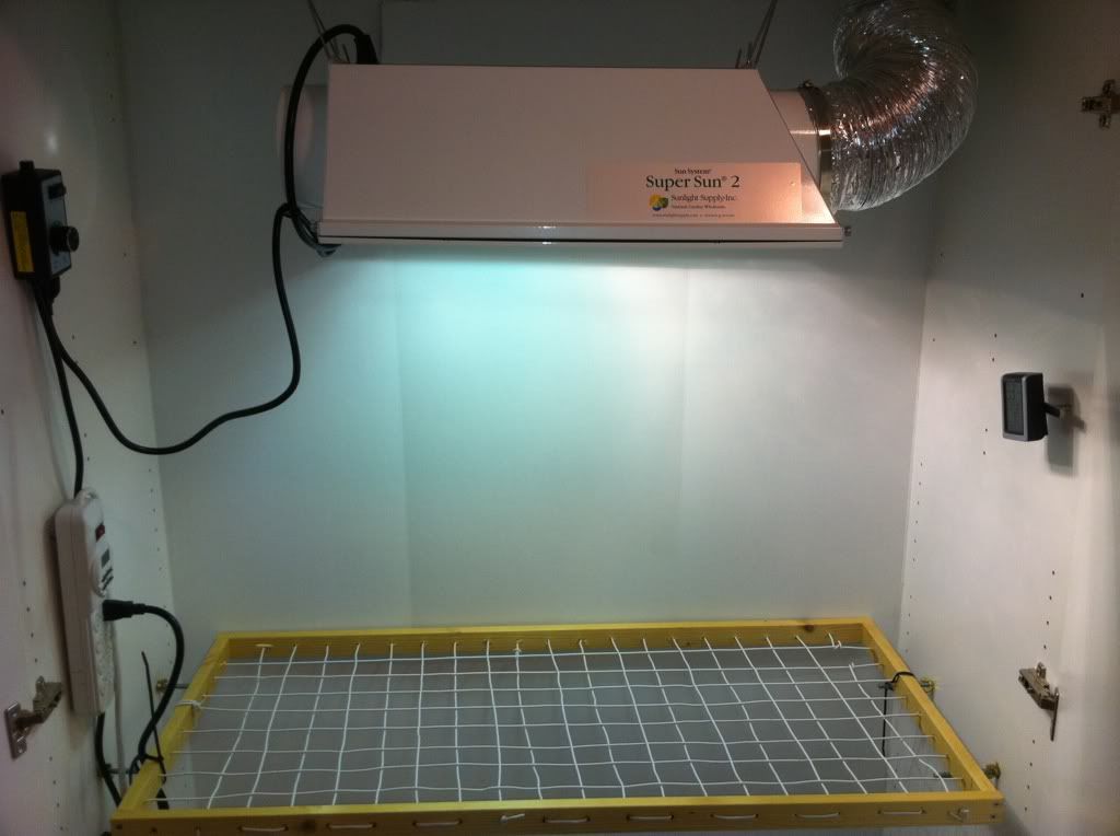 01a53808.jpg