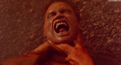 tumblr_lyshvbpjil1qzayedo1_500.gif
