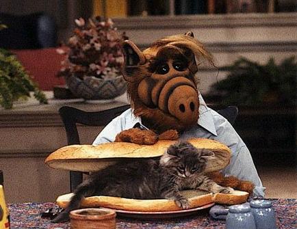 Cat_sandwich.jpg