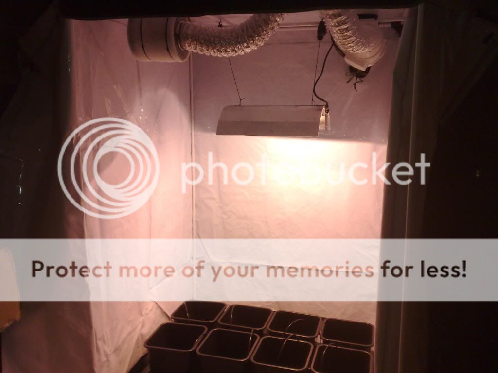 28102008017.jpg