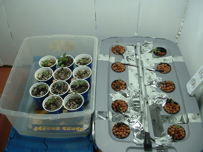 Picture001.jpg