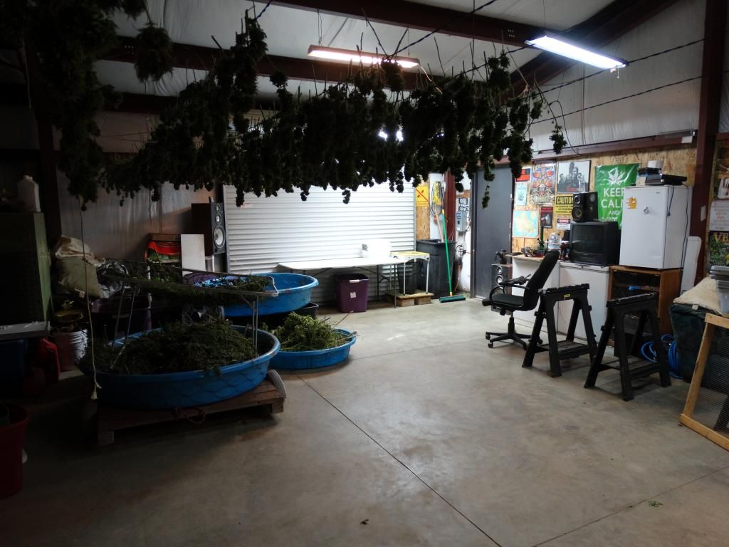 DSC09276_zps5a9a5962.jpg