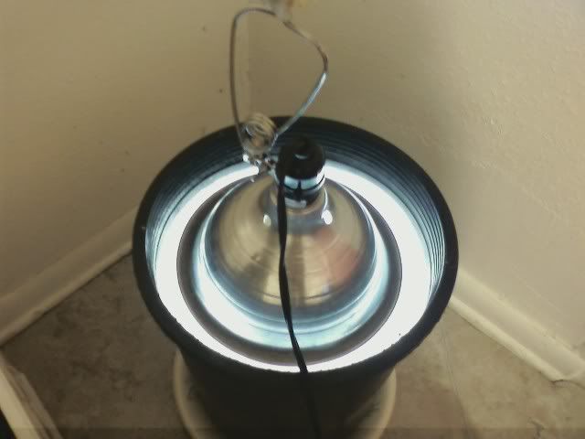 072309004310.jpg