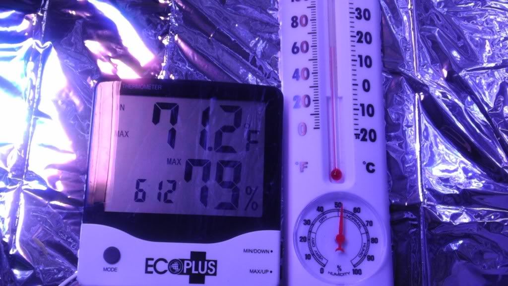 IMAG0176.jpg