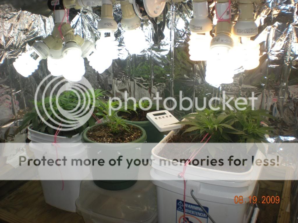 DSCN1870.jpg
