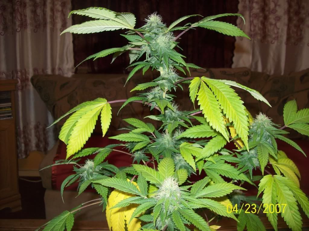 100_8715.jpg