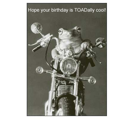 funny-birthday-toadally.jpg