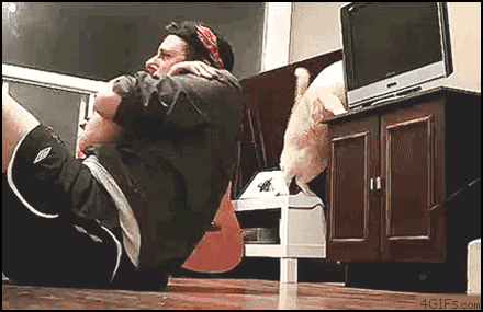 nleN0vh.gif