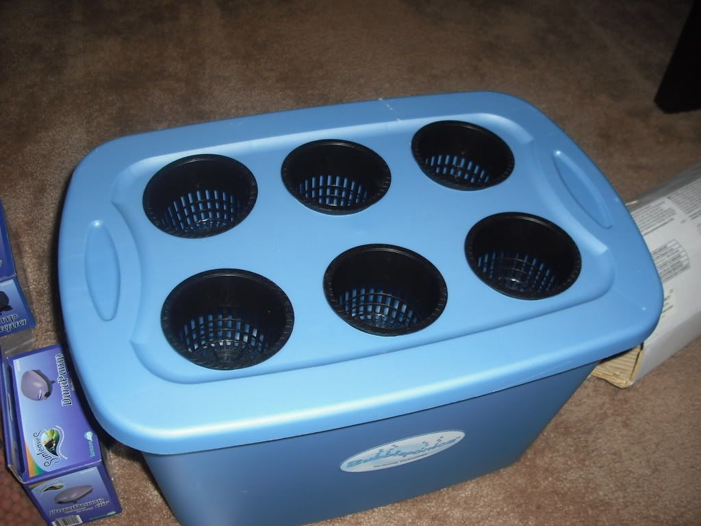 Picture265.jpg