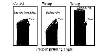 figure2.jpg