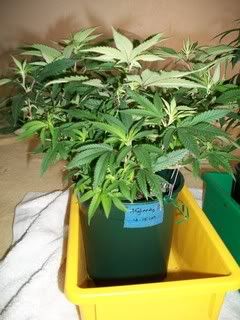 4-22-11009.jpg