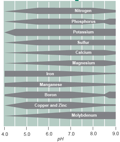 NutrientAvailability_pH.jpg