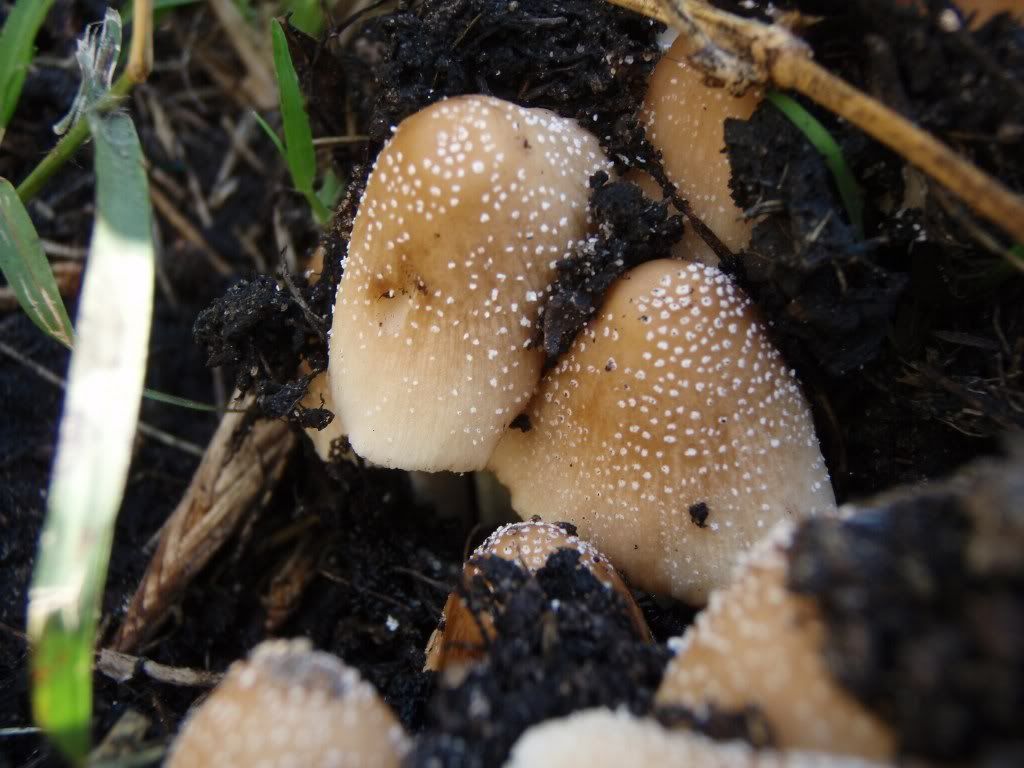 PB040456_1024x768.jpg