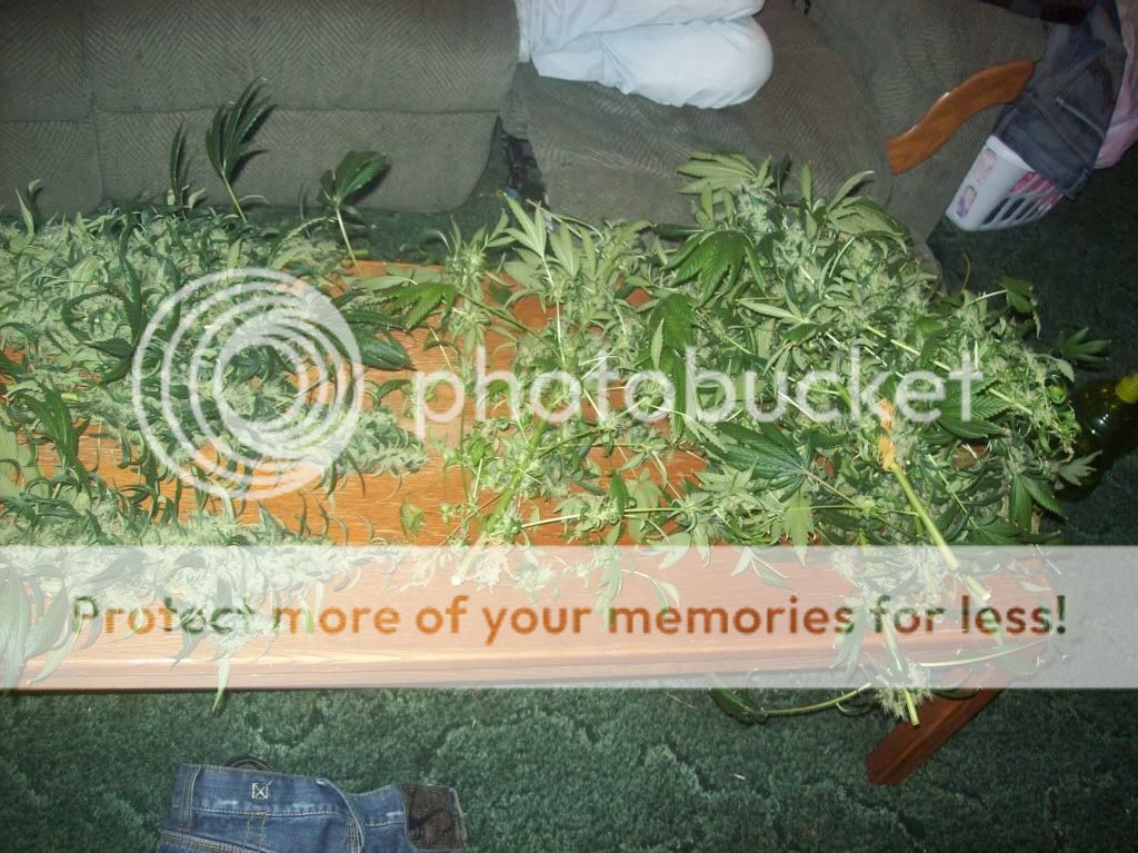 100_2220.jpg