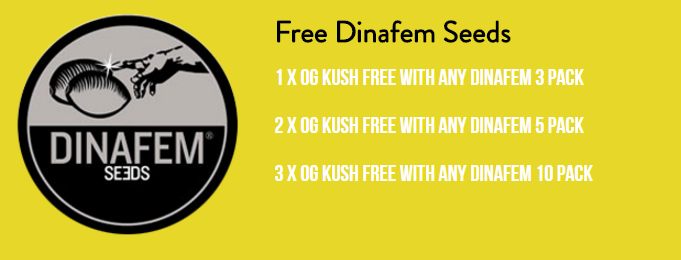 Dinafem Seeds OG Kush Promo.png