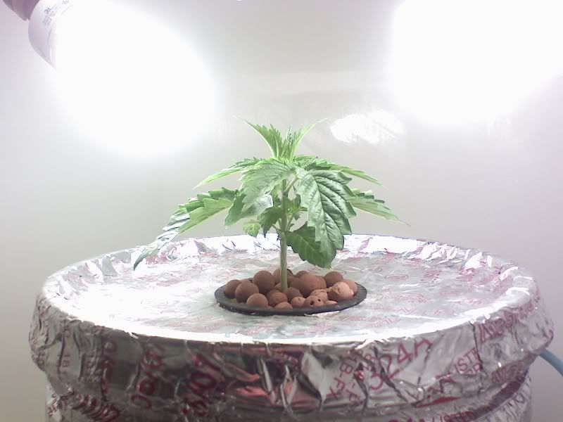 1107081404.jpg