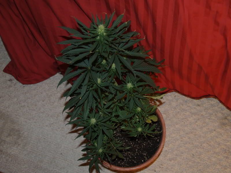 3-1-11-09.jpg