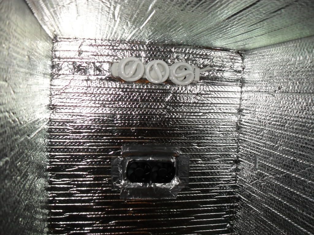SDC10584.jpg