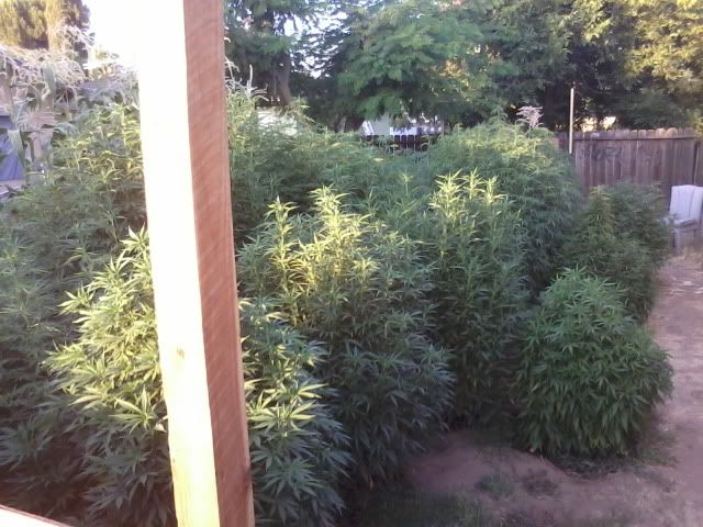 120709_001-1.jpg