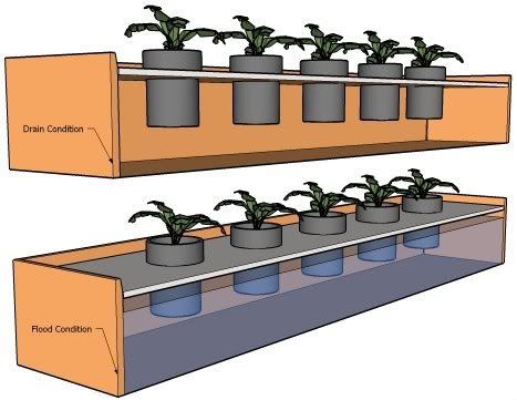 ebbFlow-Hydroponics.jpg