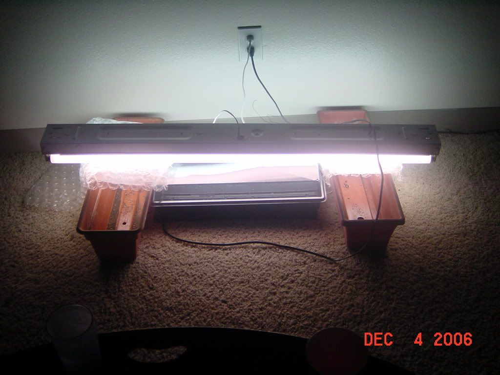 DSC02301.jpg