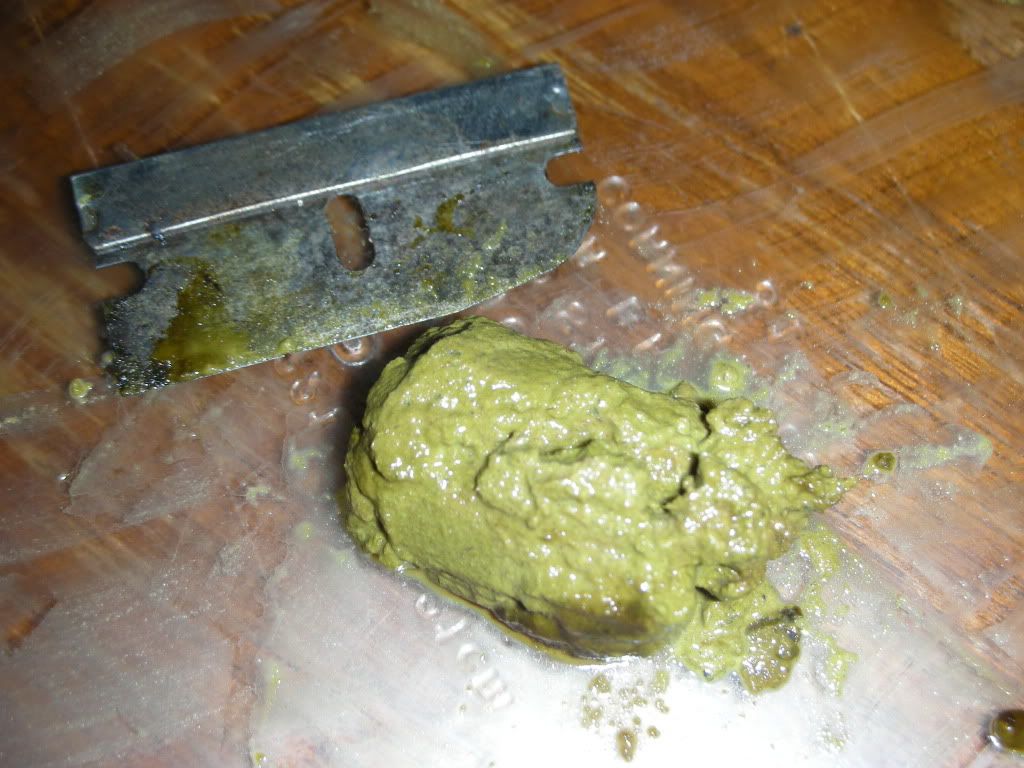 DSCN3998.jpg