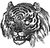 tiger1.gif