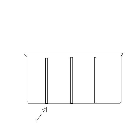 divi.jpg