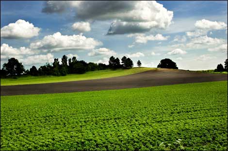 farmers_field_hawe_470x311.jpg