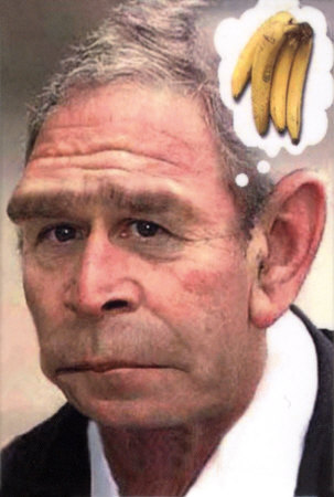 george-w-bush-monkey.jpeg