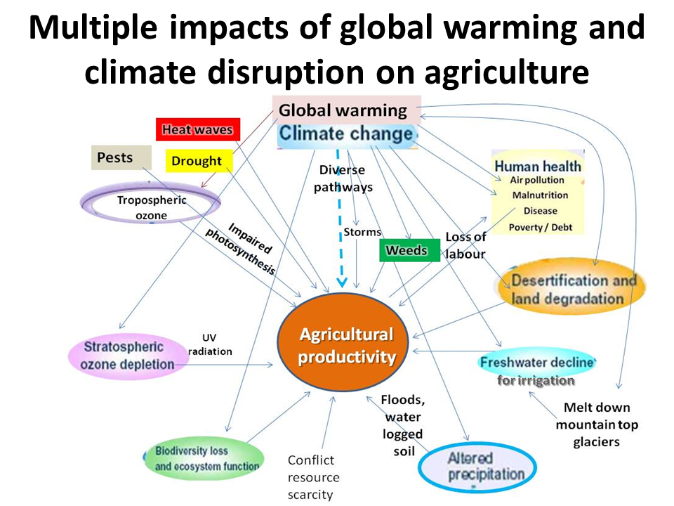 Mutiple_impacts_agriculture_image.png