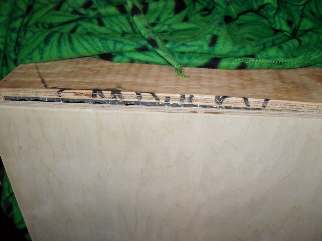 SDC10582.jpg