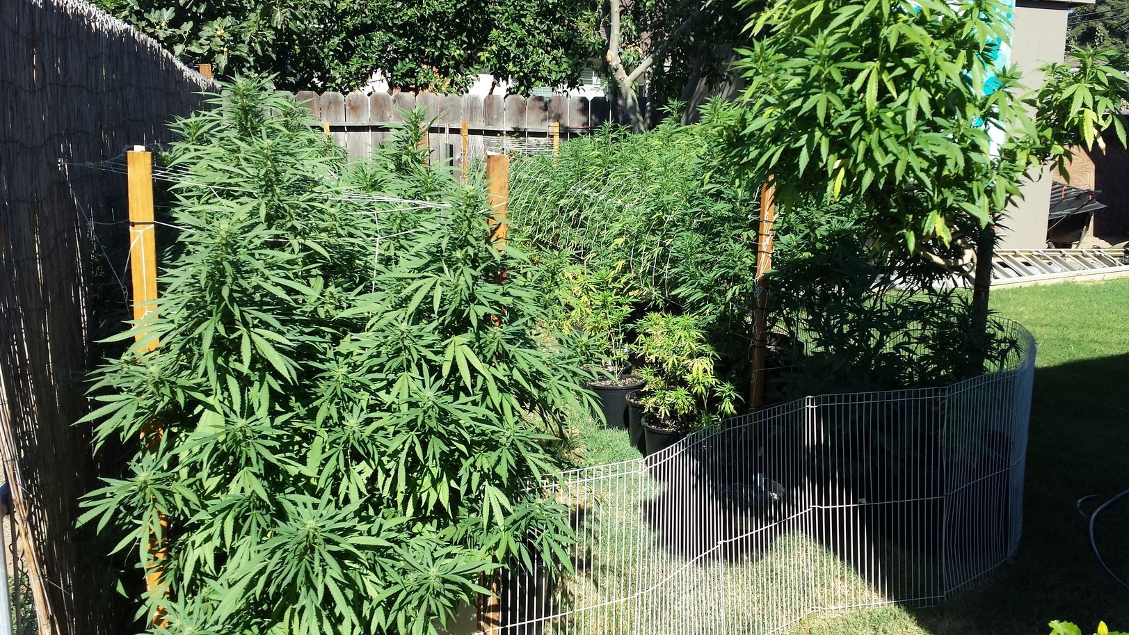 20130830_094018.jpg