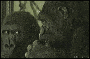 200.gif
