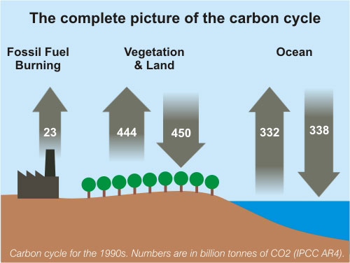 Complete_Carbon_Cycle_500.jpg