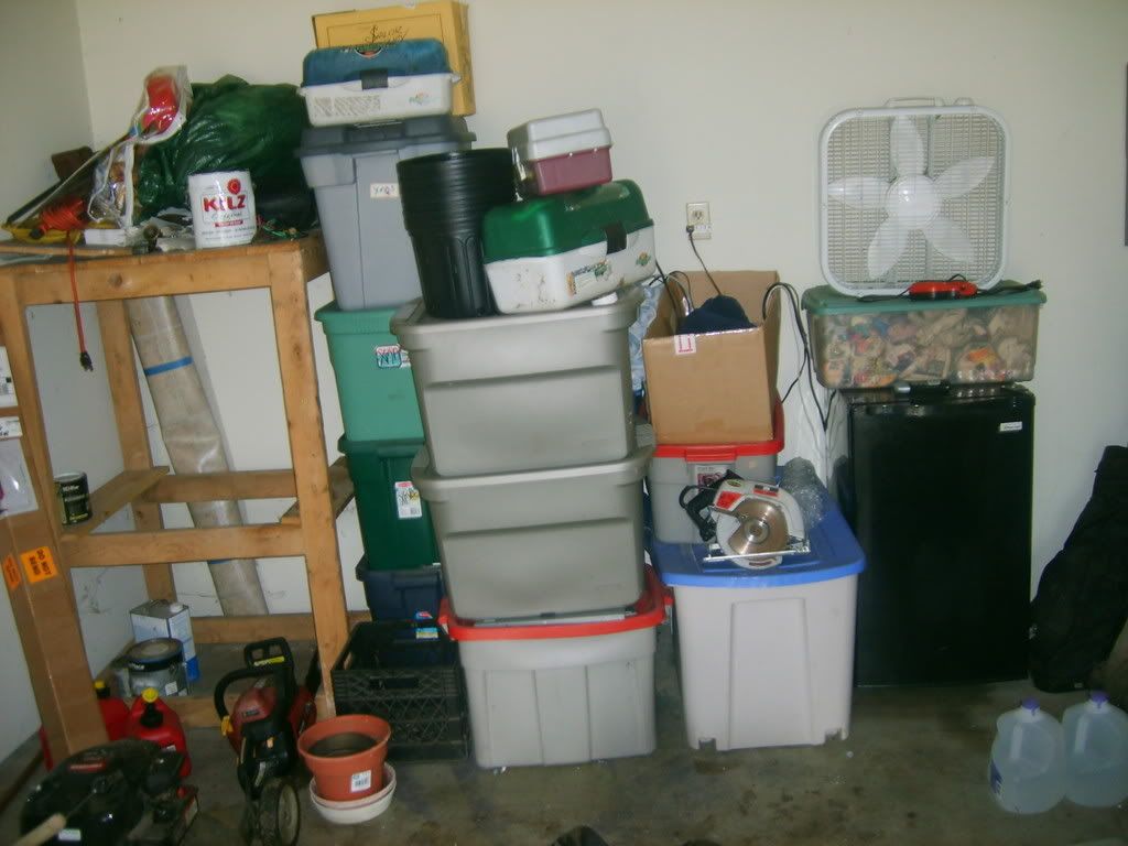 Picture016.jpg