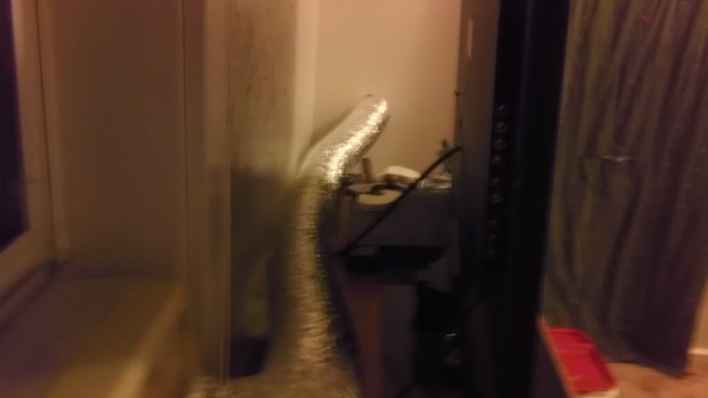 IMAG0435.jpg