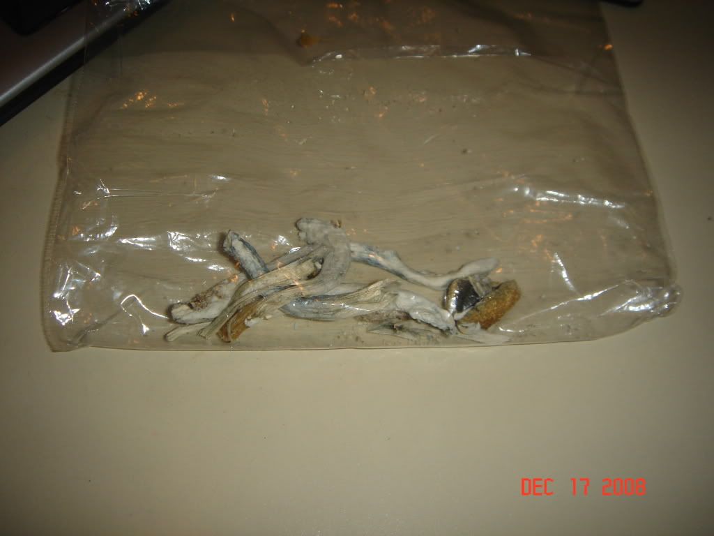 DSC02861.jpg