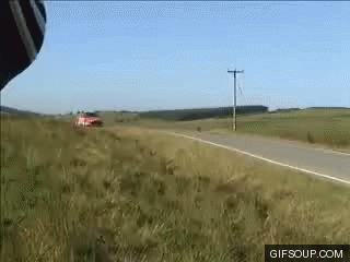 gifs_04.gif
