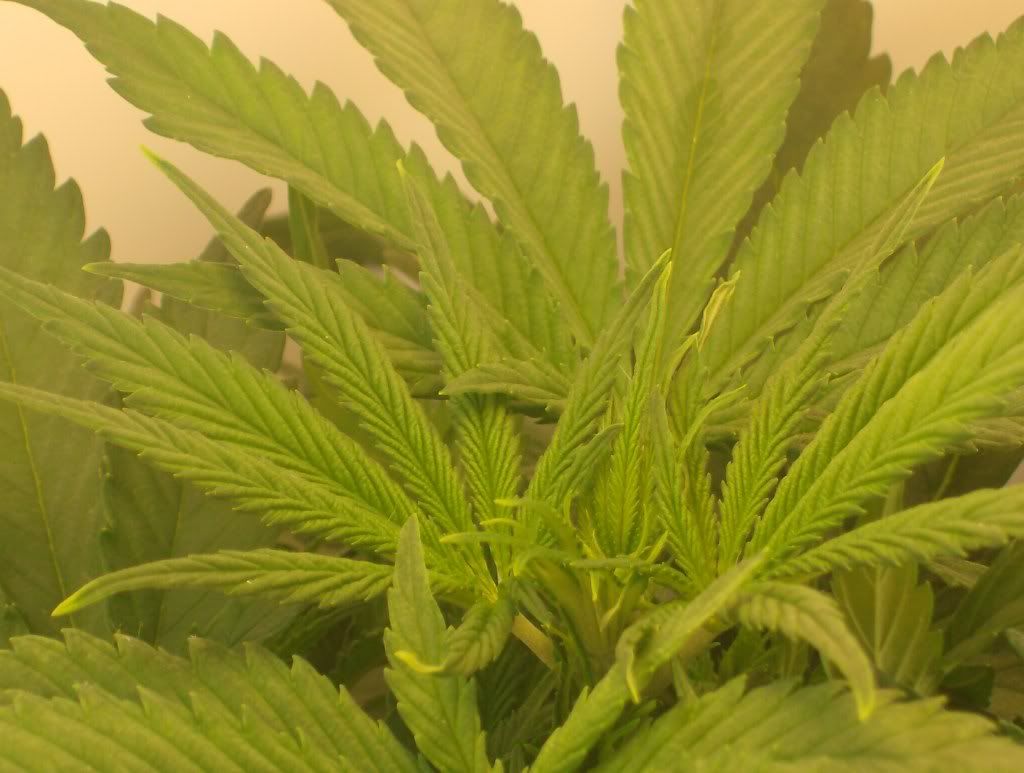 HPIM4206.jpg
