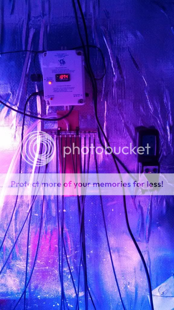 IMG_20131218_014833_400_zpsc419ced7.jpg